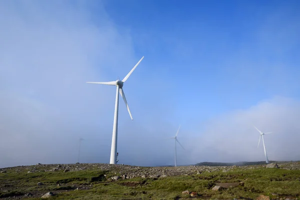 法罗群岛风力涡轮机的绿色能源 — 图库照片