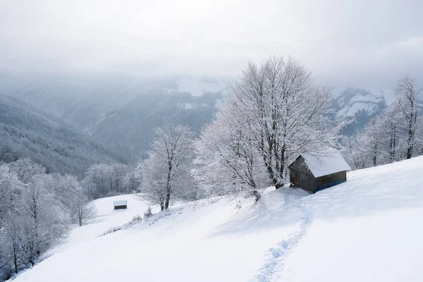 Winterlandschaft Mit Schritten Schnee Bis Zur Hütte Verschneiten Bergwald — Stockfoto