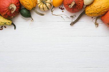 Harvest of winter squash and decorative pumpkins on wooden white background with border