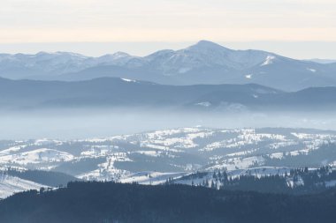View of the top of Mount Hoverla in the Ukrainian mountains in winter