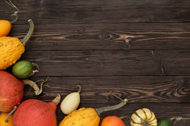 Autumn banner with a frame of pumpkin harvest on the background of an old rustic table