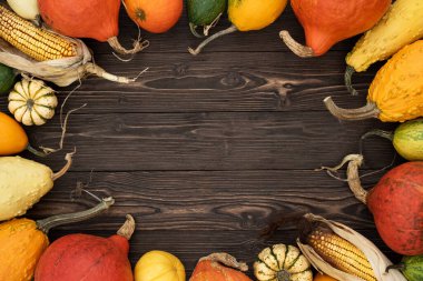 Thanksgiving holiday background with decorative frame of pumpkin harvest, winter squash and corncobs on vintage wooden table
