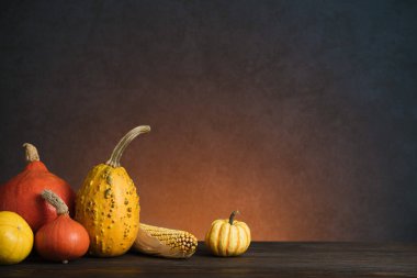 Autumn still life of a harvest of pumpkins and decorative gourds with copy space for text
