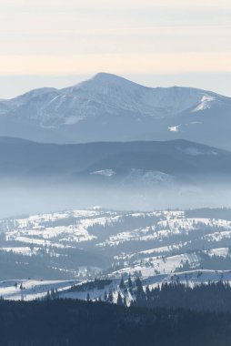 Snowy peak of Mount Hoverla in the Ukrainian Carpathian Mountains