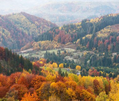 Colorful autumn view of the autumn forest with beautiful, bright trees in a mountain village