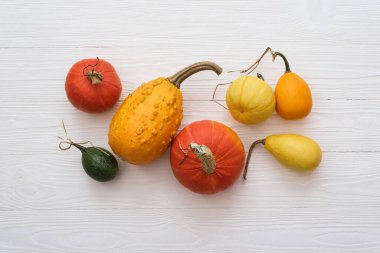Autumn card with a harvest of winter squash and decorative gourds on a white wooden background