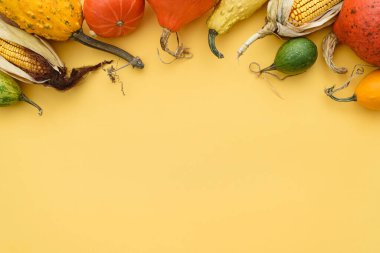 Sarı arka planda kabak ve dekoratif kabak hasadı.
