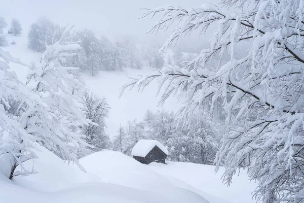 在雪崩后的雪山森林里 一座木制房屋令人难以置信的冬景 — 图库照片