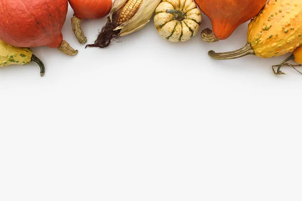 Podzimní Přání Ohraničením Dýní Dekorativních Tykví Bílém Pozadí Kopírovacím Prostorem — Stock fotografie