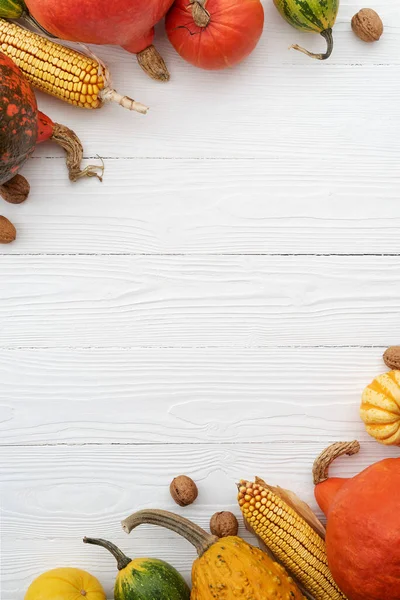 White Autumn Background Copy Space Text Decorative Frame Pumpkin Harvest — Stock Photo, Image