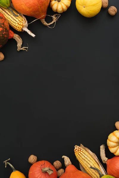 Fondo Otoño Con Borde Calabaza Sobre Fondo Negro — Foto de Stock