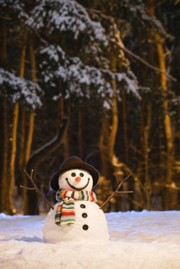 Karlı parkta tatlı bir kardan adamla Noel kartı.