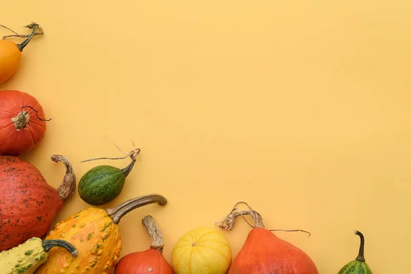 Autumn Yellow Background Harvest Pumpkins Decorative Gourds Witn Copy Space — Foto de Stock