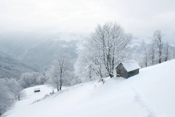 Schöne Winterlandschaft Mit Holzhütte Schnee — Stockfoto