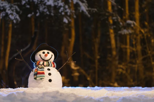 Εορταστικό Φόντο Ένα Χαρούμενο Χιονάνθρωπο Σκοτεινό Φόντο Στο Πάρκο Βράδυ — Φωτογραφία Αρχείου