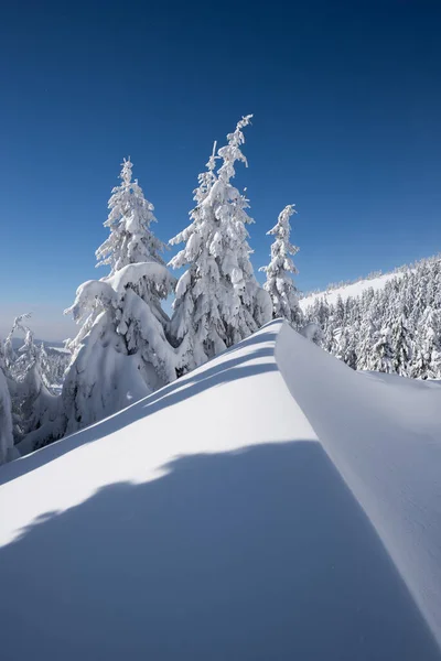 Зимний Пейзаж Большим Заносом Горах Солнечный Морозный День — стоковое фото