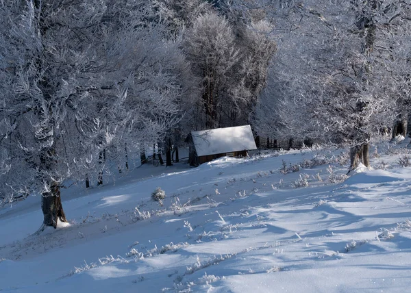 Winterlandschaft Mit Einer Schneebedeckten Hütte Waldrand Bei Raureif — Stockfoto