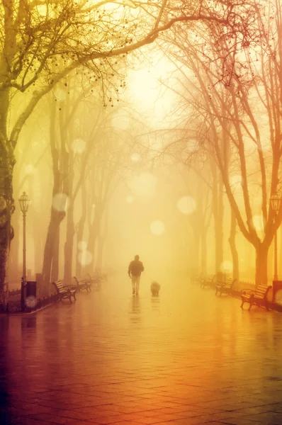 Прогулянки чоловіків з собакою в тумані — стокове фото