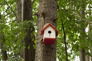 sonbahar kuş iç içe-box ağacında