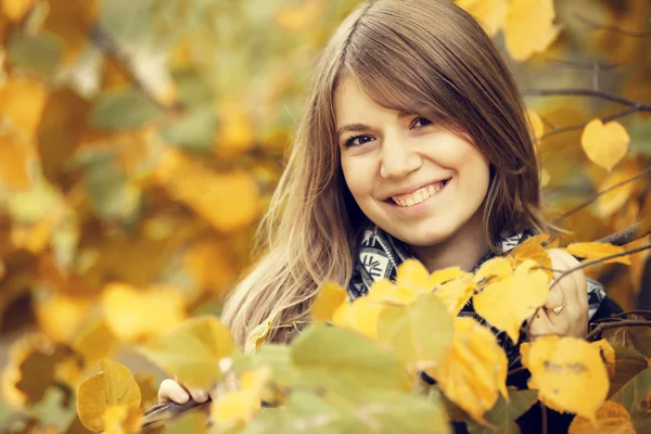 Hermosa chica en el parque de otoño . — Foto de Stock