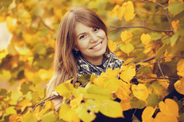 Őszi park gyönyörű lány. — Stock Fotó