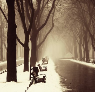Kış sokakta odessa, Ukrayna.