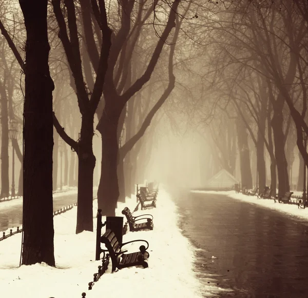 Callejón de invierno en Odessa, Ucrania . — Foto de Stock