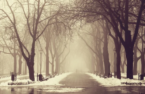 Callejón de invierno en Odessa, Ucrania . — Foto de Stock