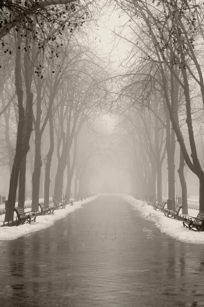 Χειμώνα δρομάκι σε Οδησσός, Ουκρανία. — Φωτογραφία Αρχείου