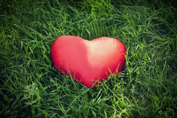 Primo piano di un cuore rosso sull'erba — Foto Stock