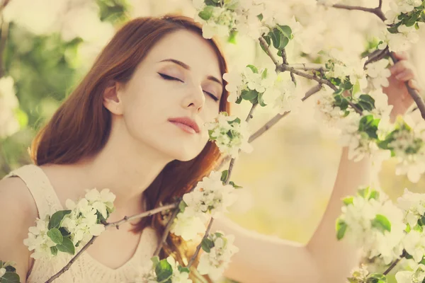 Chica cerca de árbol de flores — Foto de Stock