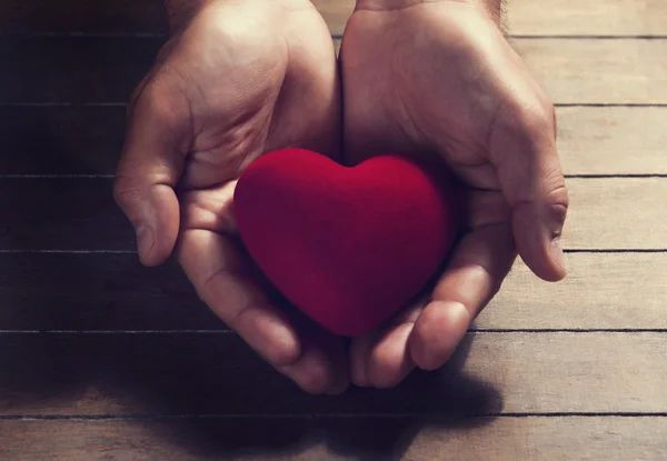 Heart in the hands — Stock Photo, Image