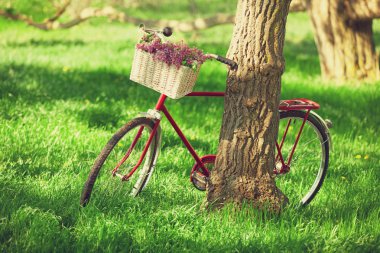 Vintage bicycle waiting near tree clipart