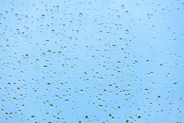 Rain drops on the glass — Stock Photo, Image