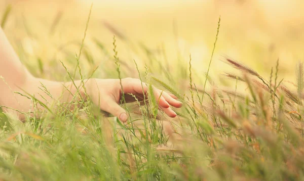Рука в осінній траві . — стокове фото