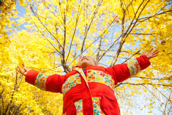 Ребенок в осеннем парке. На открытом воздухе . — стоковое фото