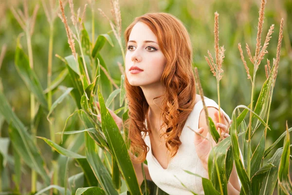 Rusovláska dívka v kukuřičném poli — Stock fotografie