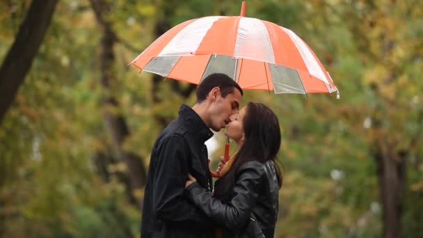 Casal beijando ao ar livre no parque — Vídeo de Stock