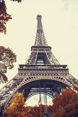 Paris. Sonbahar sezonu Eyfel Kulesi manzarasına muhteşem geniş açı