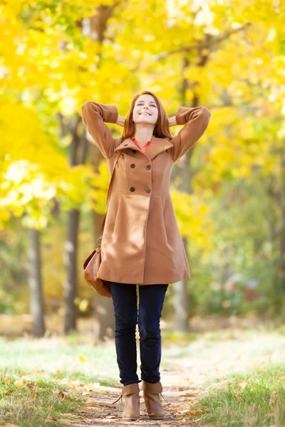 Rousse fille dans automne parc — Photo