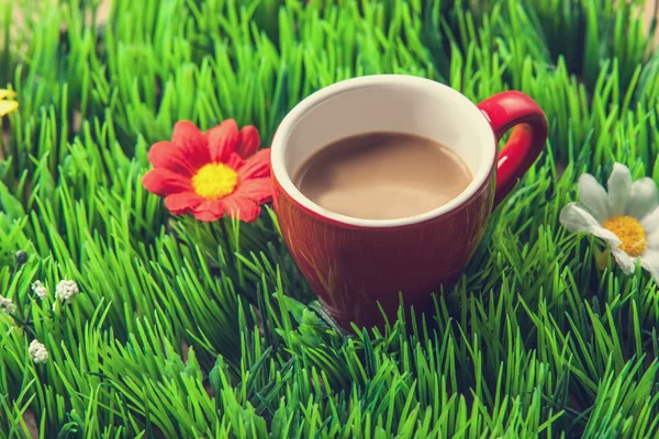 Cup of coffee on green grass. — Stock Photo, Image