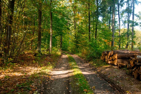 Дорога Лесу Нижней Силезии Польша — стоковое фото