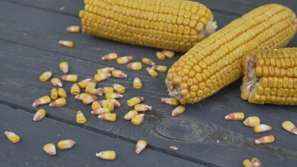 Nahaufnahme Von Fertigem Gelben Mais Auf Holztisch — Stockvideo