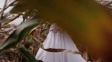 Sonbaharda mısır tarlasında gözlüklü bir hayalet