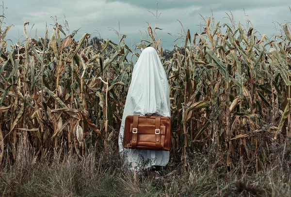 Geist Gläsern Mit Koffer Herbst Auf Maisfeld — Stockfoto