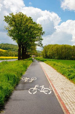 Güney Polonya 'daki Sudetes dağlarında bisiklet yolu 