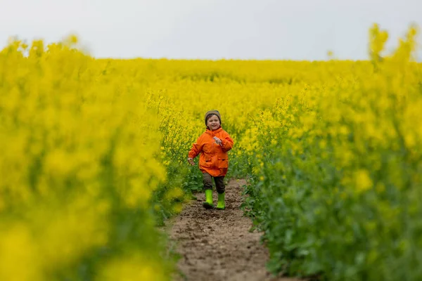 아이는 시골에서 유채를 뿌리는 즐기죠 — 스톡 사진