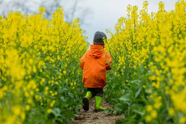 小さな子供は田舎の菜種畑で楽しい時間を過ごす — ストック写真