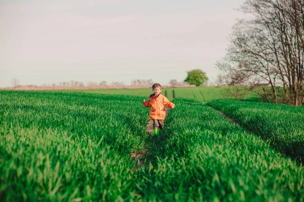 未就学児は田舎の緑の小麦畑で楽しみを持っています — ストック写真