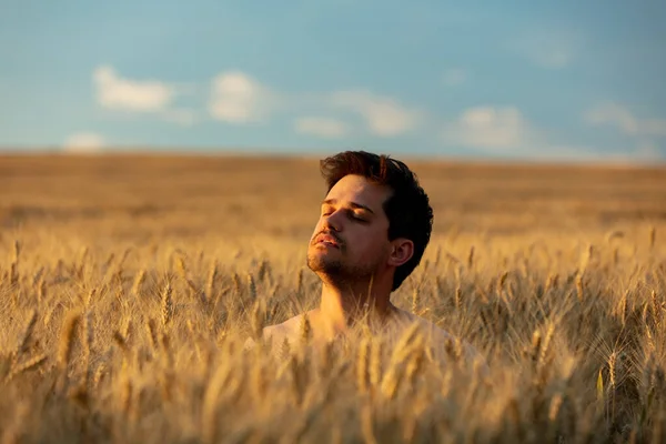 Homme Sans Vêtements Dans Champ Blé Coucher Soleil — Photo